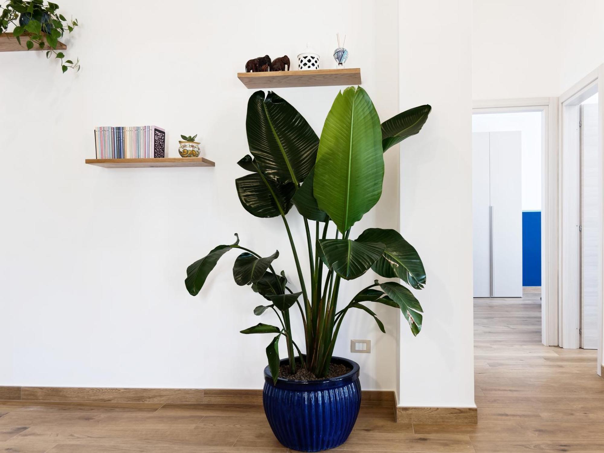 Susanna Boutique Home Vico Equense Eksteriør bilde