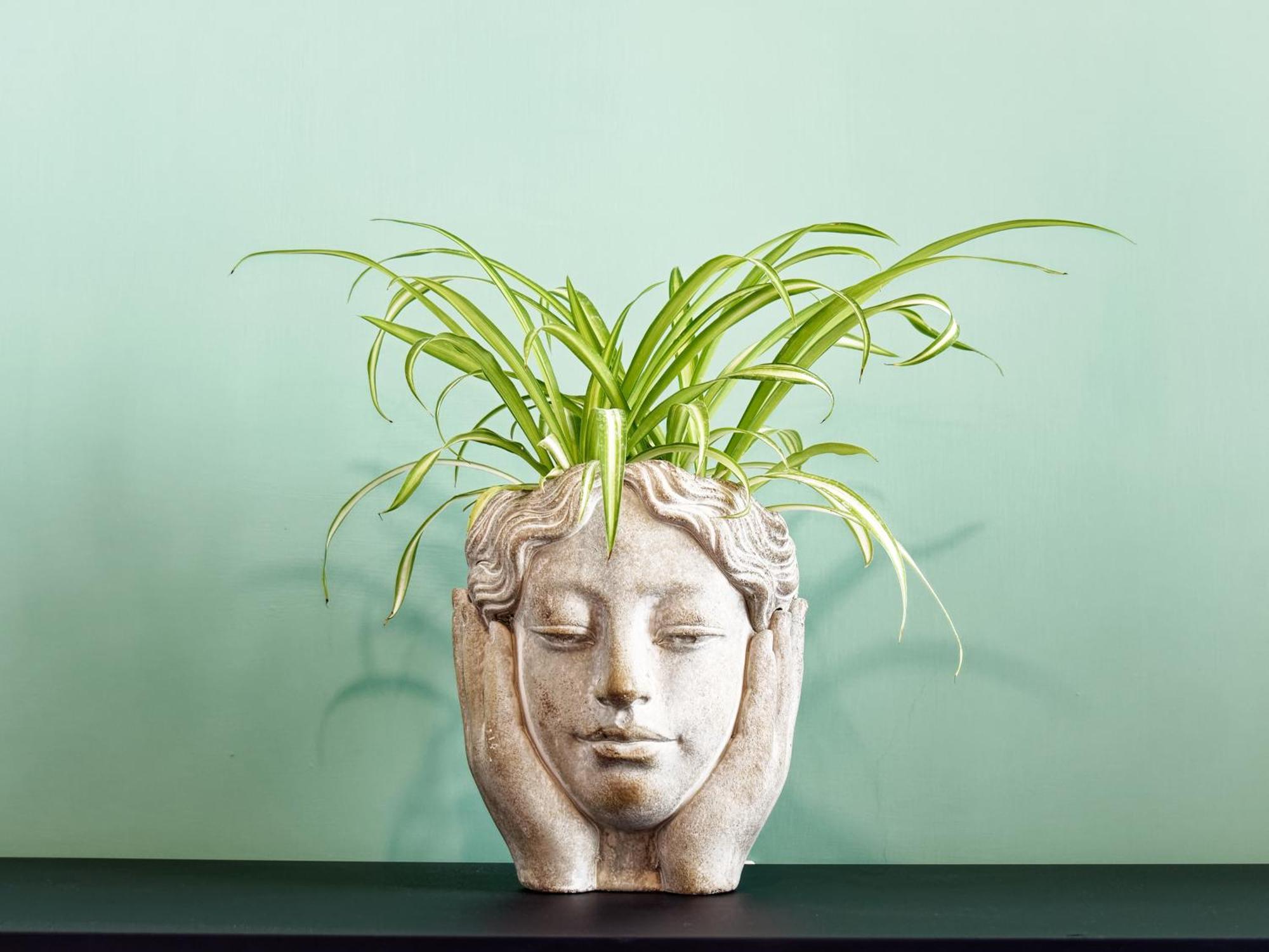 Susanna Boutique Home Vico Equense Eksteriør bilde