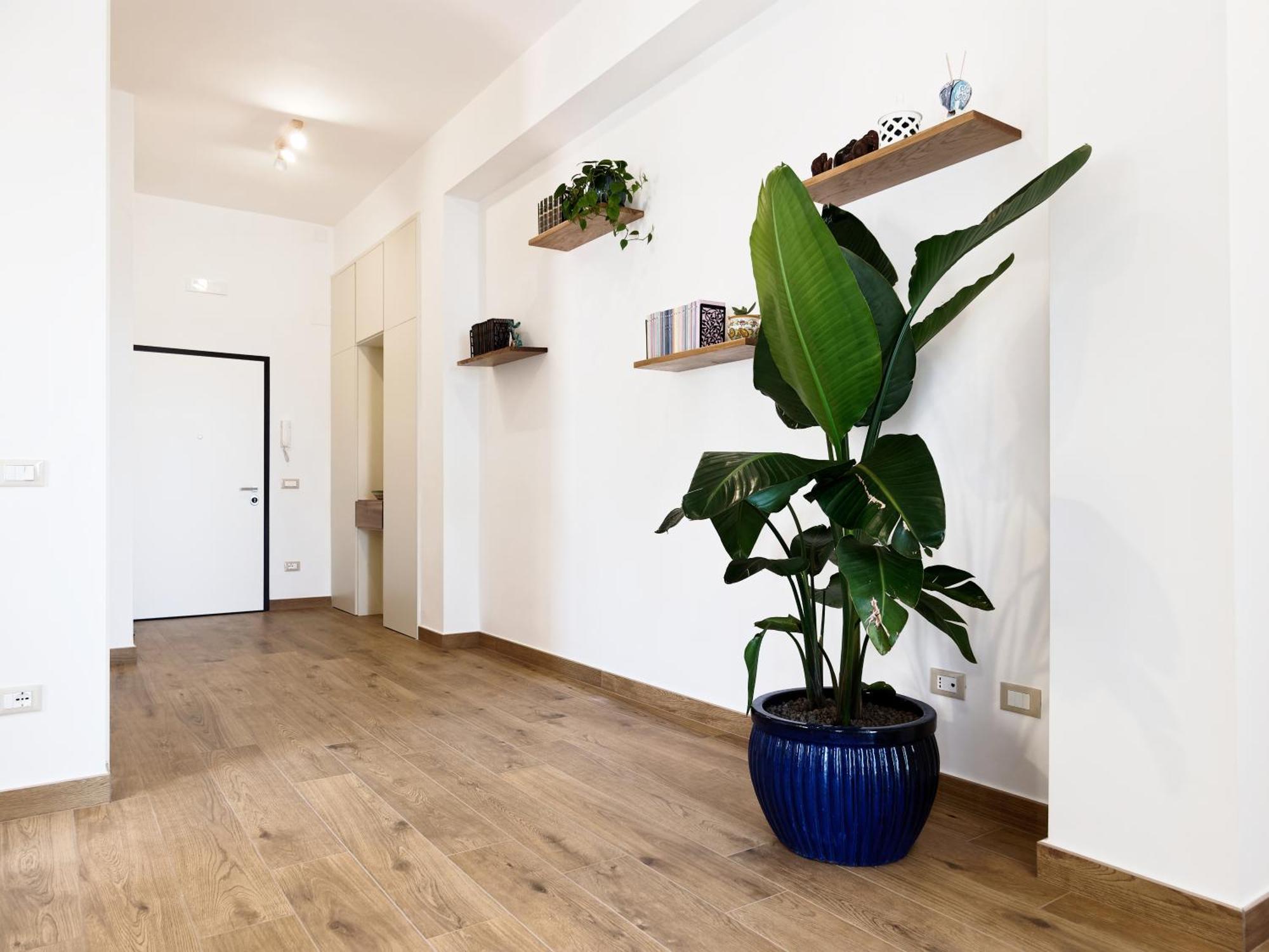 Susanna Boutique Home Vico Equense Eksteriør bilde