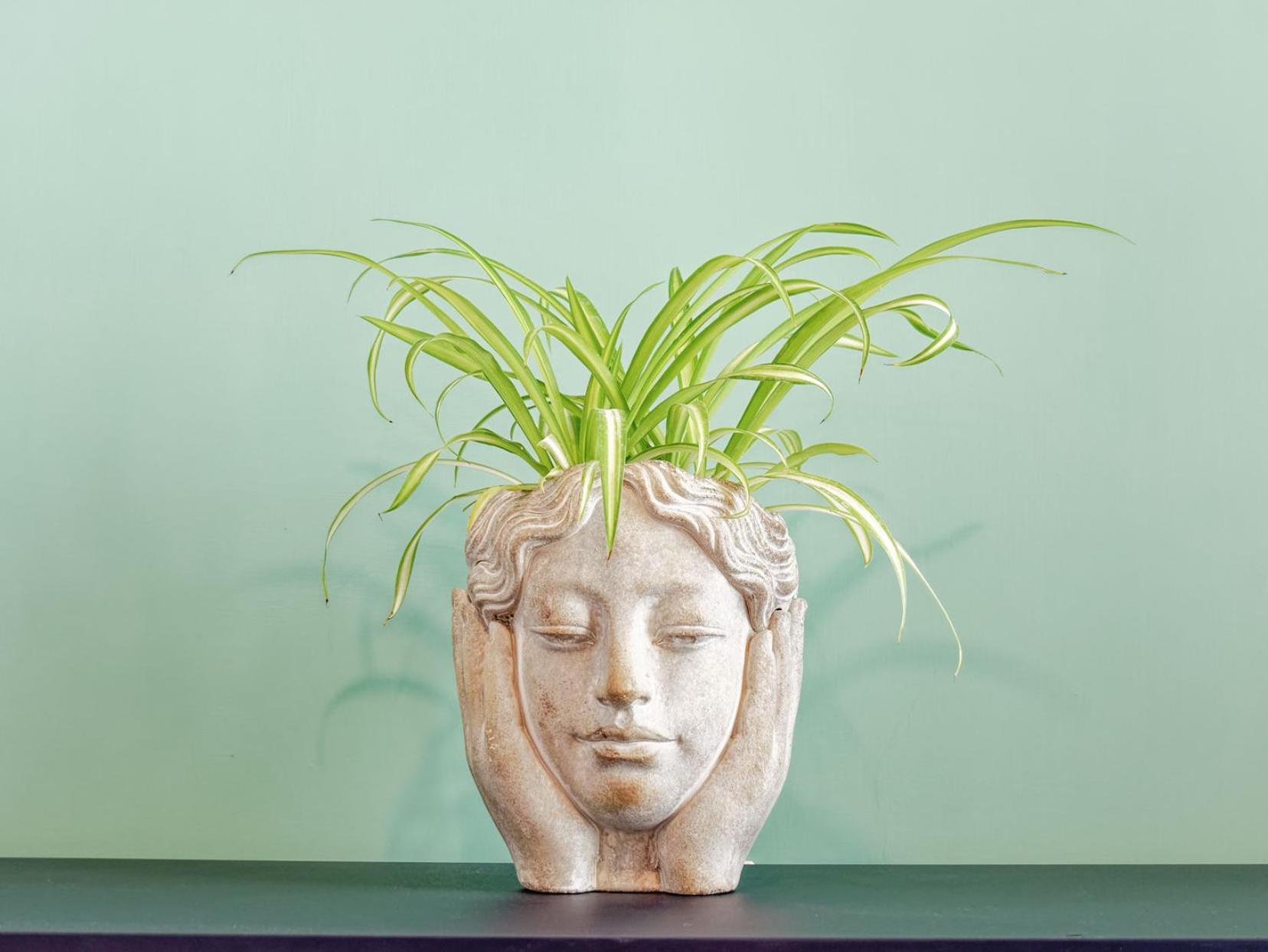 Susanna Boutique Home Vico Equense Eksteriør bilde