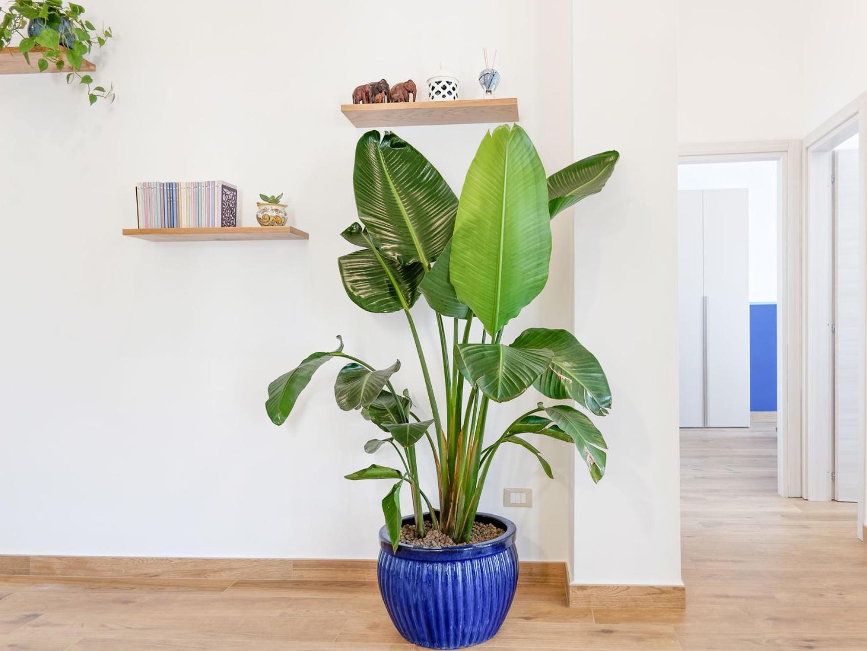 Susanna Boutique Home Vico Equense Eksteriør bilde